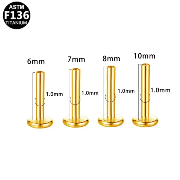 1 Piece Lip Rings Simple Style Classic Style Geometric Pure Titanium Titanium Alloy Polishing Plating 14K Gold Plated White Gold Plated Lip Rings Ear Cartilage Rings & Studs