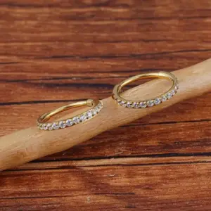 Wholesale 1 Piece Nose Rings & Studs Simple Style Shiny Solid Color G23 Titanium Inlay Zircon Ear Cartilage Rings & Studs Nose Rings & Studs Nose Pin