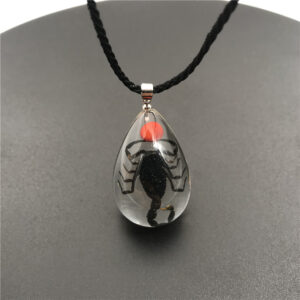 Red Bean Black Scorpion