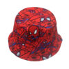 Wholesale Cross-Border New Spider Print Fisherman Hat Cartoon Anime Peripheral Sun Hat Foreign Trade Hot-Selling Versatile Basin Hat Trend