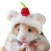oly-2a438e4d29aac608d2f68c2524f0af45 Wholesale Hamster Bear plush cute small hat photography props handmade crocheted pet wool hat Winter Mini