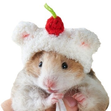oly-2a438e4d29aac608d2f68c2524f0af45 Wholesale Hamster Bear plush cute small hat photography props handmade crocheted pet wool hat Winter Mini