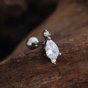 3450 Silver / Ear Studs