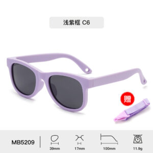 light purple frame C6 purple snap cord
