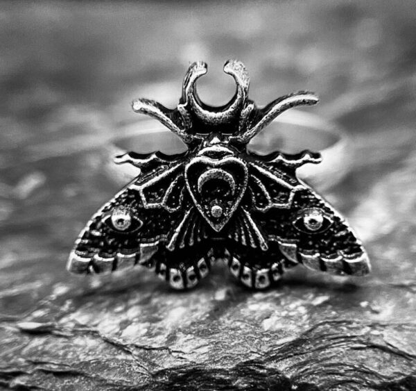 Wholesale AliExpress Europe and the United States new vintage personality moth moon phase opening ring exaggerated beetle punk ring