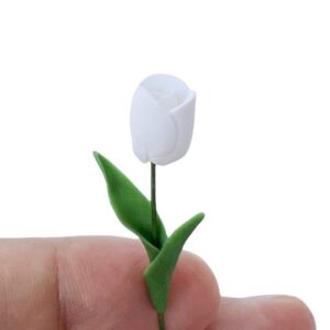 1：12 / White Tulip