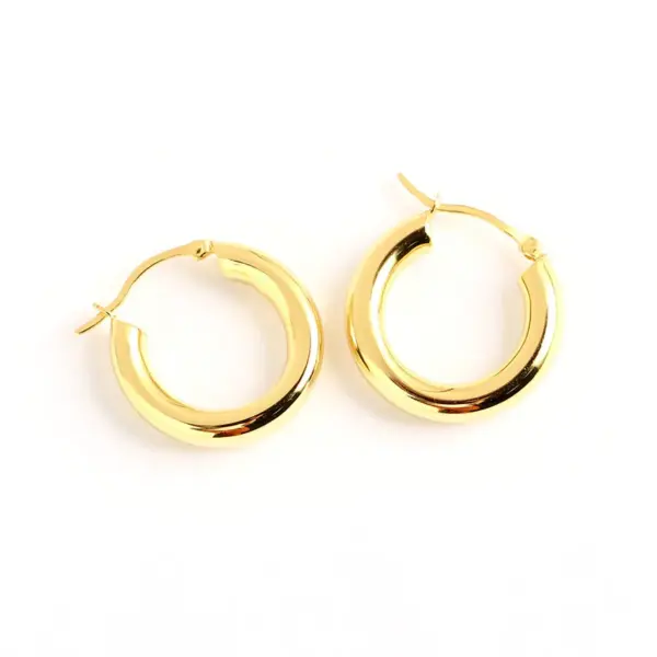 Fashion Round Stainless Steel Plating Earrings 1 Piece