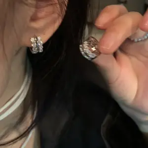 E5673 Silver-Ear Clip