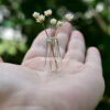 oly-2dad2f6332de14bb701b28e64cac1b65 Wholesale Keding miniature tearop food play mini glass vase scene model small fresh doll house living room ornaments