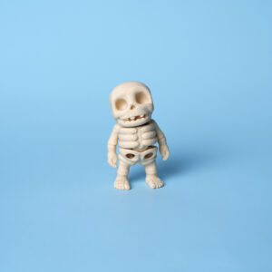 Bachelor Skull