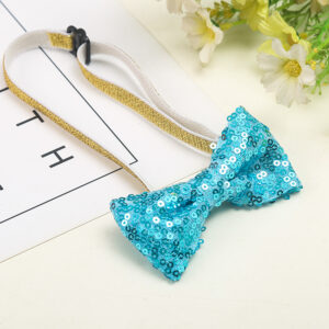 Blue bow tie