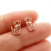 Wholesale PVD Coated 18K Gold Real Gold Plated Animal Notes 304 Stainless Steel Cute Simple Style Waterproof Non Tarnish Ear Studs