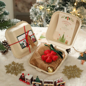 Style eleven (boxed) / Christmas pendant