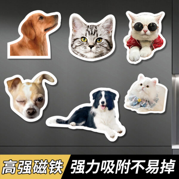 Wholesale Cartoon soft magnetic refrigerator stickers acrylic magnetic refrigerator stickers wholesale creative cute pet magnetic stickers special-shaped decoration
