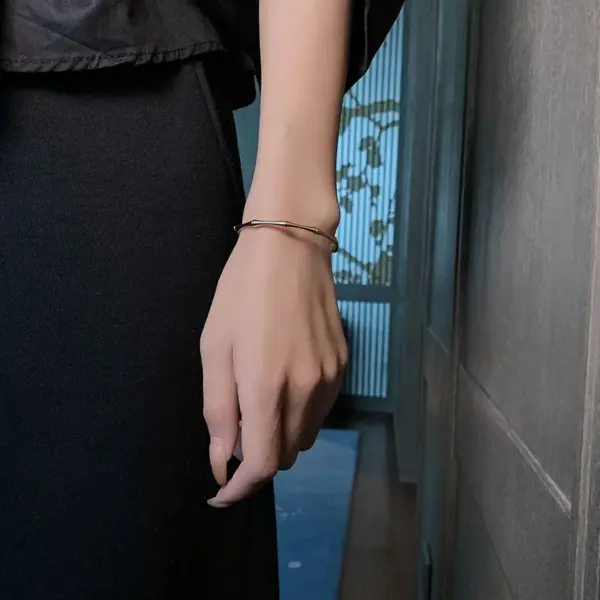 Wholesale Ins Style Solid Color Titanium Steel Copper Gold Plated Bangle In Bulk