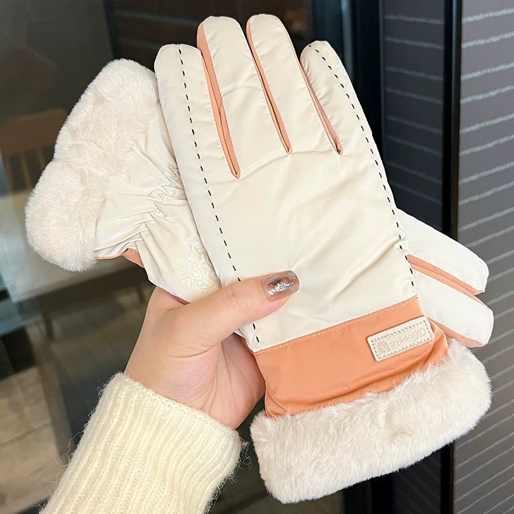 Wholesale Autumn and Winter Women's fce-lined Thickened Warm Wind-Resistant Waterproof Gloves Outdoor Riding Skiing Climbing Non-Slip Touchscreen