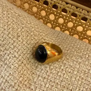 Titanium Steel Obsidian Gold Ring No. 7