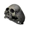 Wholesale Cross-border wish hot sale jewelry skull ring male rock gothic punk jewelry ring male gift
