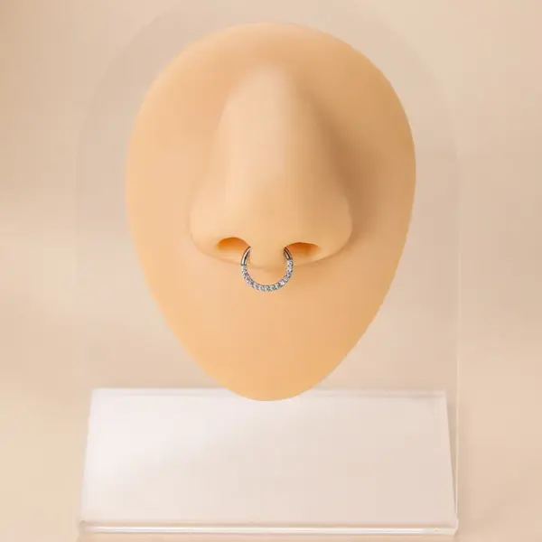 1 Piece Nose Rings & Studs Fashion Round Pure Titanium Inlay Zircon Nose Pin