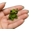 oly-31aa7a4d0517181f4c2174c0d6e68d7c Wholesale Cross-border New Funny Mini Middle Finger Animal Statue Novelty Resin Desktop Garden Middle Finger Sculpture Ornament