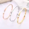 Wholesale Modern Style Solid Color Stainless Steel Bangle In Bulk