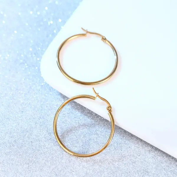 Simple Style Circle Stainless Steel Plating Earrings 1 Pair