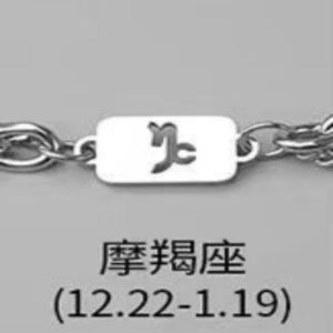 Capricorn necklace bracelet combination