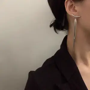 023642--Snake Bone Tassel Ear Studs--Silver