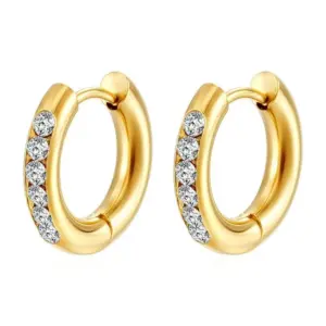 3.0*10 Inlaid Zircon Earrings / Gold