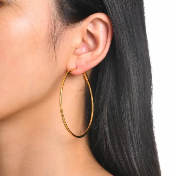 PVD Coated Real Gold Plated Circle 304 Stainless Steel Simple Style Waterproof Non Tarnish Earrings