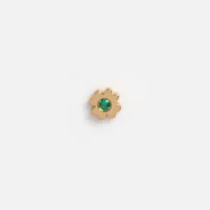 Clover