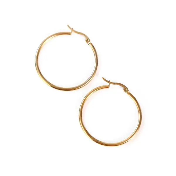 Simple Style Circle Stainless Steel Plating Earrings 1 Pair