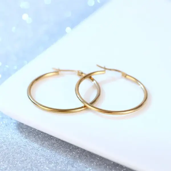 Simple Style Circle Stainless Steel Plating Earrings 1 Pair