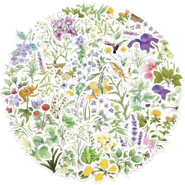 Wholesale 50 INS Chinese Medicine Plant Graffiti Stickers Decorative Guitar Notebook Luggage DIY Waterproof Cross-border