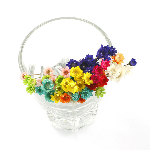 Wholesale Brazil small star flower dried flower Mini small Daisy wild chrysanthemum crystal glue drop handmade diy making filling material accessories