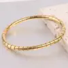 Wholesale Simple Style Solid Color Stainless Steel Plating Gold Plated Bangle