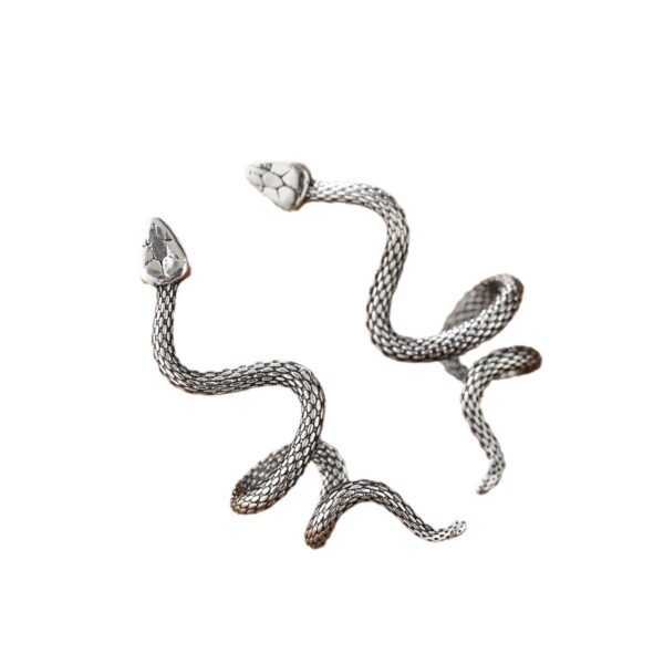 Wholesale Creative snake-wrapped earrings animal earrings