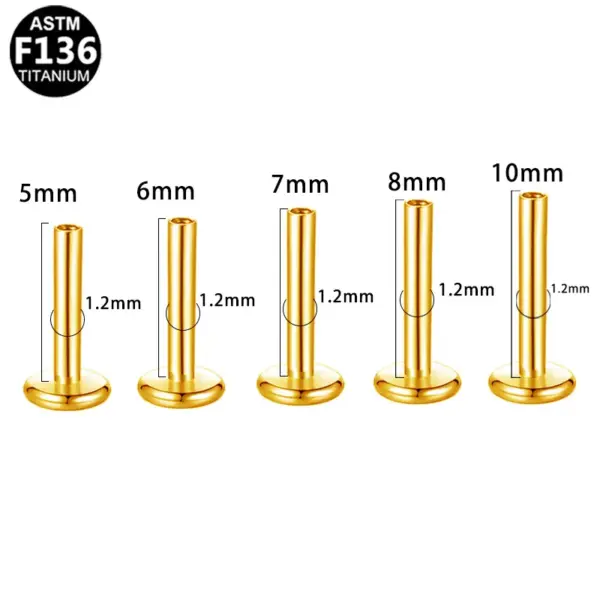 1 Piece Lip Rings Simple Style Classic Style Geometric Pure Titanium Titanium Alloy Polishing Plating 14K Gold Plated White Gold Plated Lip Rings Ear Cartilage Rings & Studs