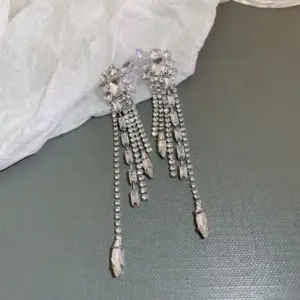 46# Silver Needle-Silver Long Style Tassel