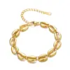 18K Gold Plated Shell Stainless Steel Simple Style 304 Stainless Steel Bracelets