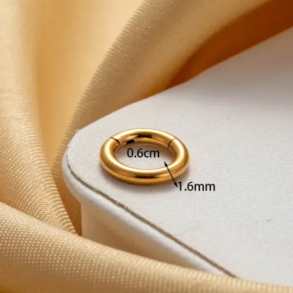 Wholesale 316 Stainless Steel Round IG Style Hoop Earrings For Women's