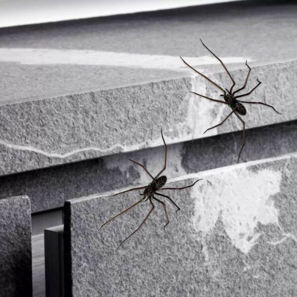 oly-39f54ed2b9e90524fdffcfdc18af07c6 Wholesale Cross Border New Spider Fridge Magnet Halloween Home Decor Spider Horror Fridge Magnet