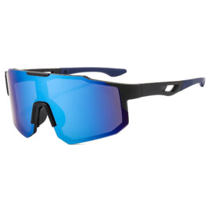 Ordinary version / Black blue