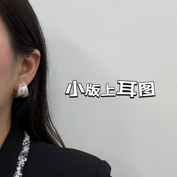 Wholesale High-end luxury C- shaped niche metal heavy industry retro trend European and American 2025 new design feeling temperament ear ring