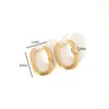 1 Pair Simple Style Classic Style Solid Color Plating Titanium Steel Earrings
