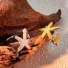 PVD Coated Real Gold Plated 18K Gold Starfish 304 Stainless Steel Retro Waterproof Non Tarnish Open Rings
