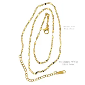 N2620 Lip Chain