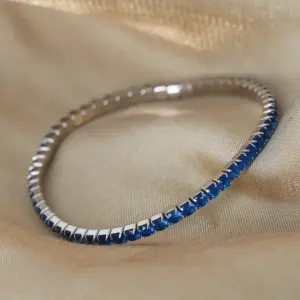 E048-Dark Blue Zircon Steel Bracelet