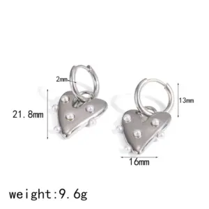 Steel Earrings