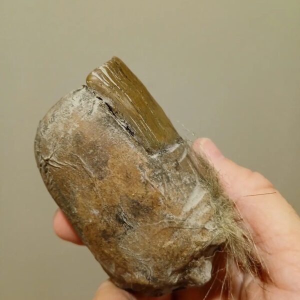 Wholesale 2025 cross-border Amazon explosions Bigfoot Toe Sasquatch toe resin process manufacturers